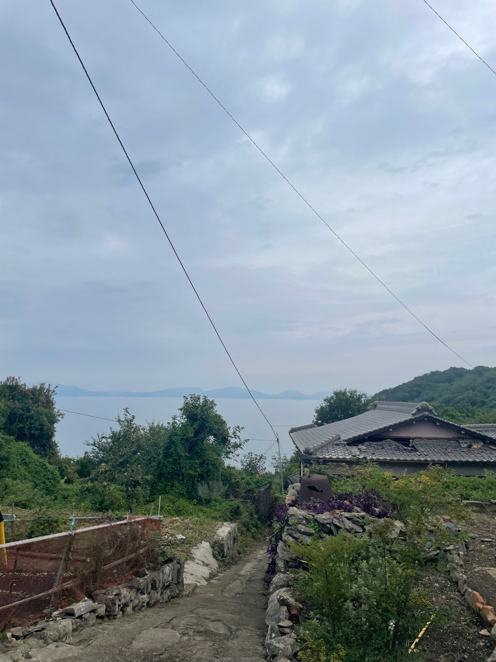 2025/10/3-11/9_瀬戸内国際芸術祭2025_展覧会_オラフ・ホルツアプフェル『野生の獲物』@伊吹島(観音寺市)